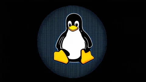 Экстенты и суперблоки: как восстановить данные в Linux. Полное руководство по восстановлению данных в файловых системах ext3 и ext4